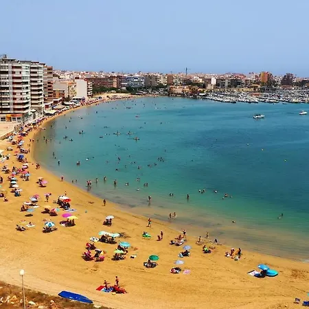 San Miguel 1-4 * Torrevieja
